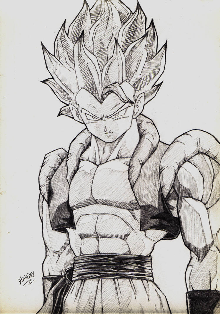 Fusion Goku Vegeta, Desenho por Seigneur Lupacho