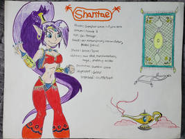 Shantae the fully genie