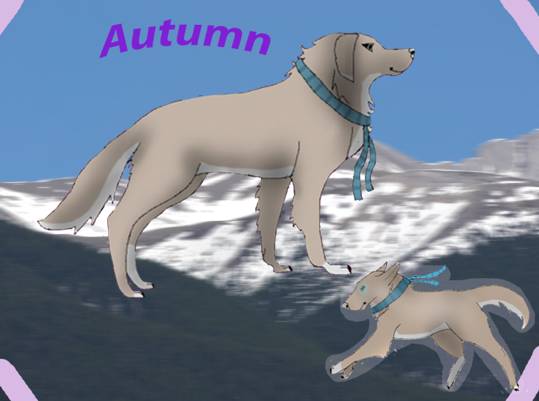 Autumn- Dog Oc