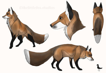 Finn the fox