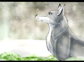Commission for NutellaDog