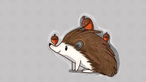 Acorns