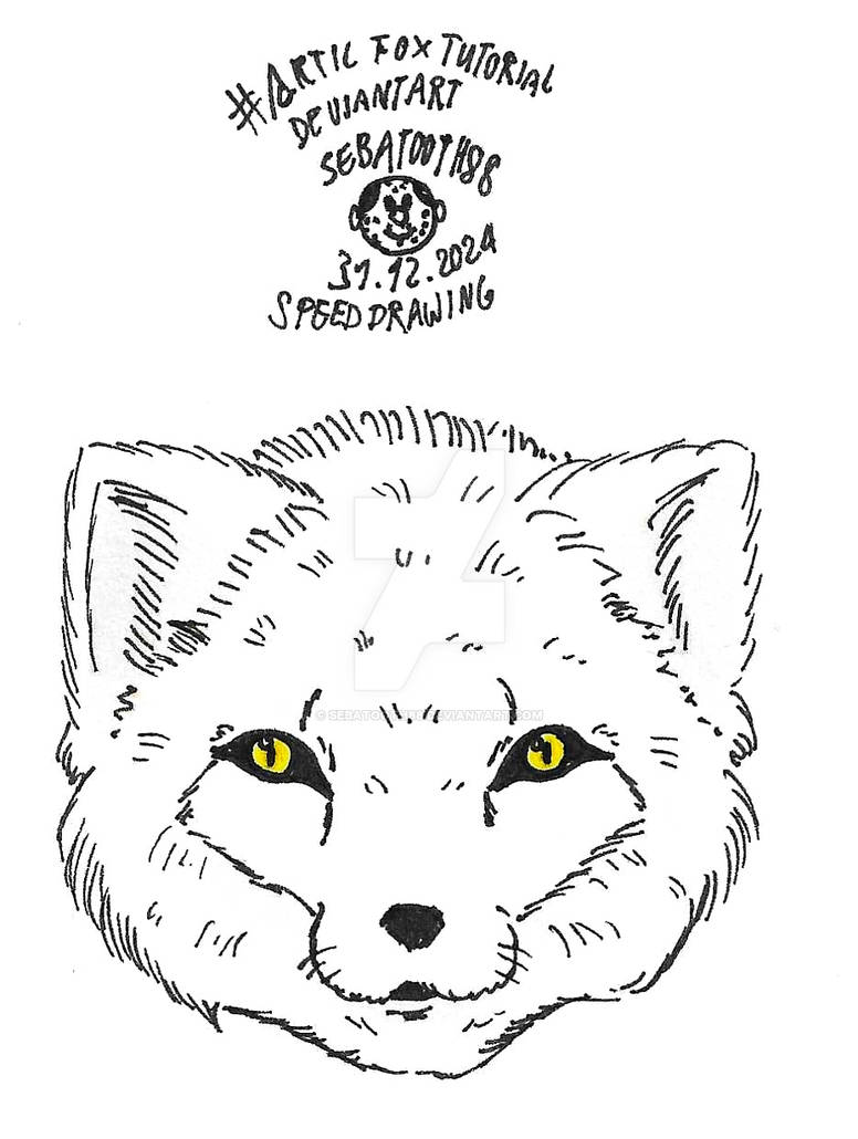 Arctic Fox Tutorial Speed Drawing by Sebatooth88 on DeviantArt