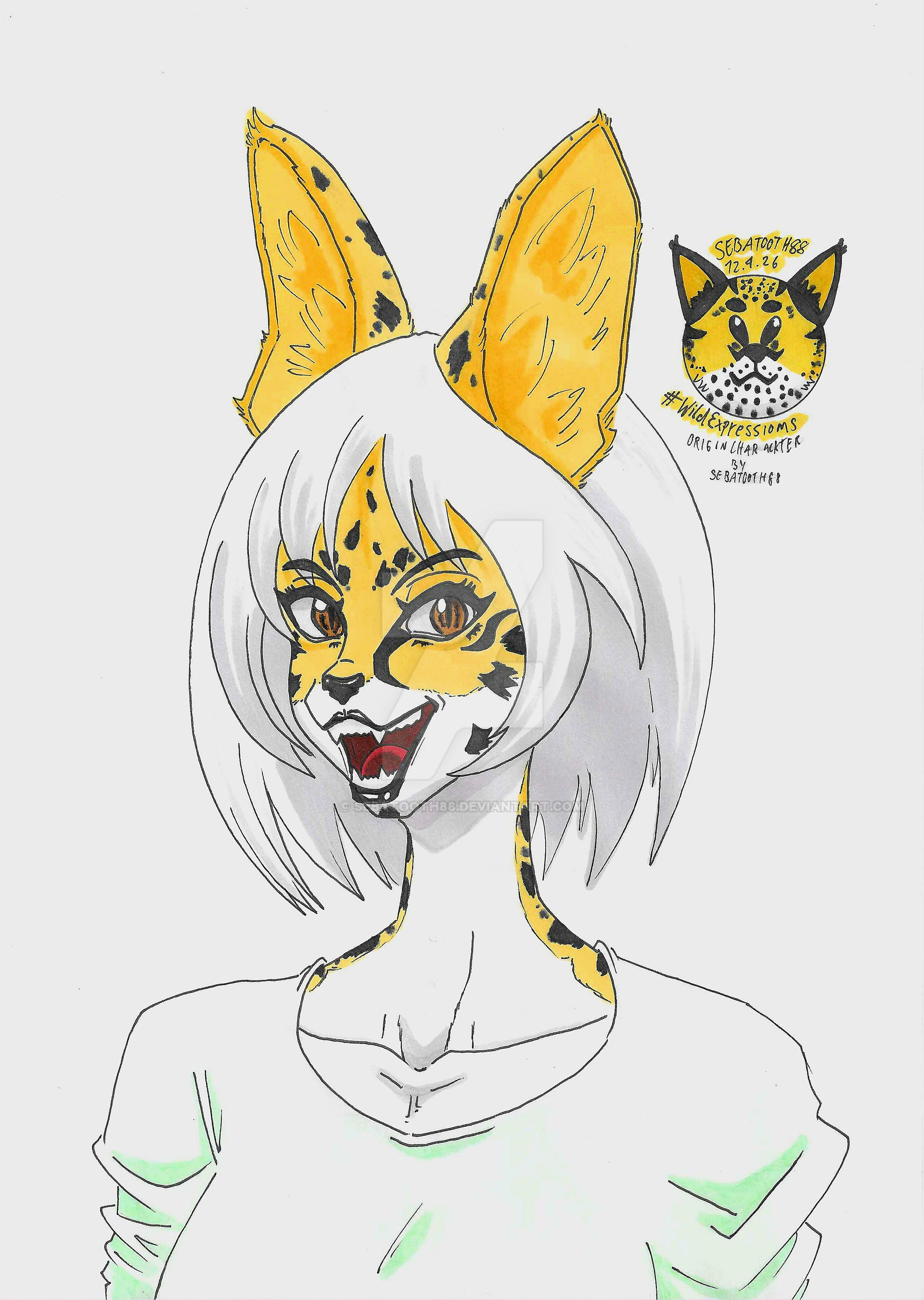 Deviantart Tutorial Wild Expressions