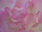 Like Pink Sugar Candy by tithta
