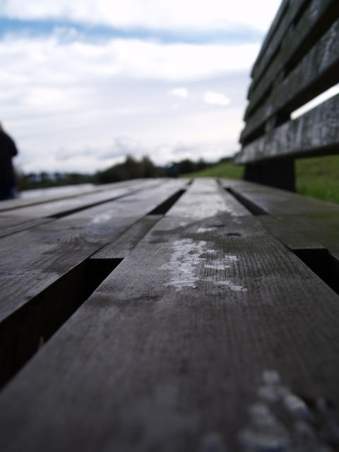 macro photography bench by BurnoutKelly on DeviantArt