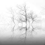 Existence by anaPhenix
