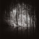 Mistrust to Survive by anaPhenix