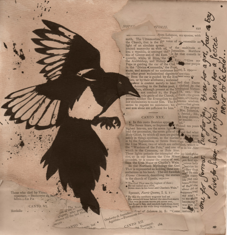 The Magpie rhyme. by EmilyAcid on DeviantArt