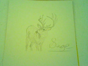 Deer Finished* by TheyCallMeSage Deer Finished* by TheyCallMeSage