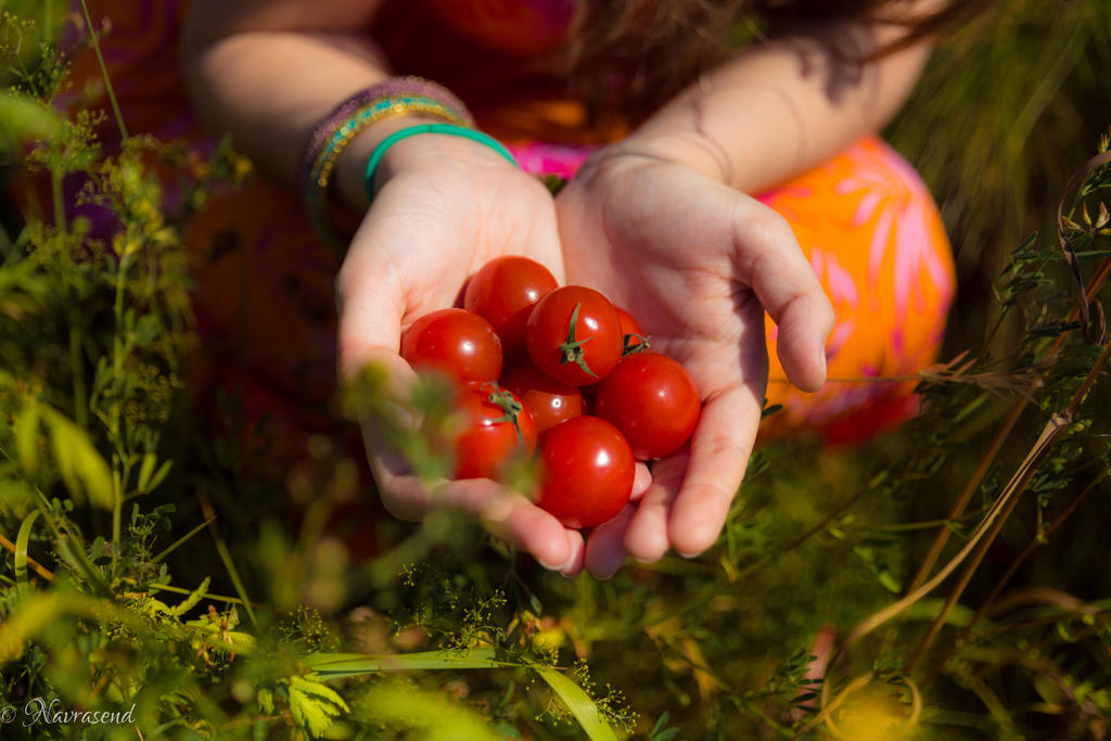 A Drop of Summer by Navrasend A Drop of Summer by Navrasend