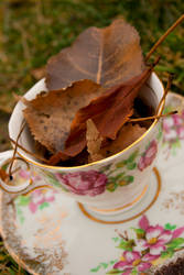 Fall teacup 2