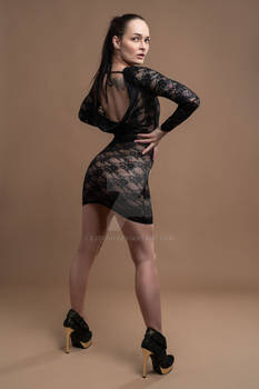 Lace Between Light and Shadow 9