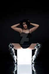 Silverlight Reflections 6