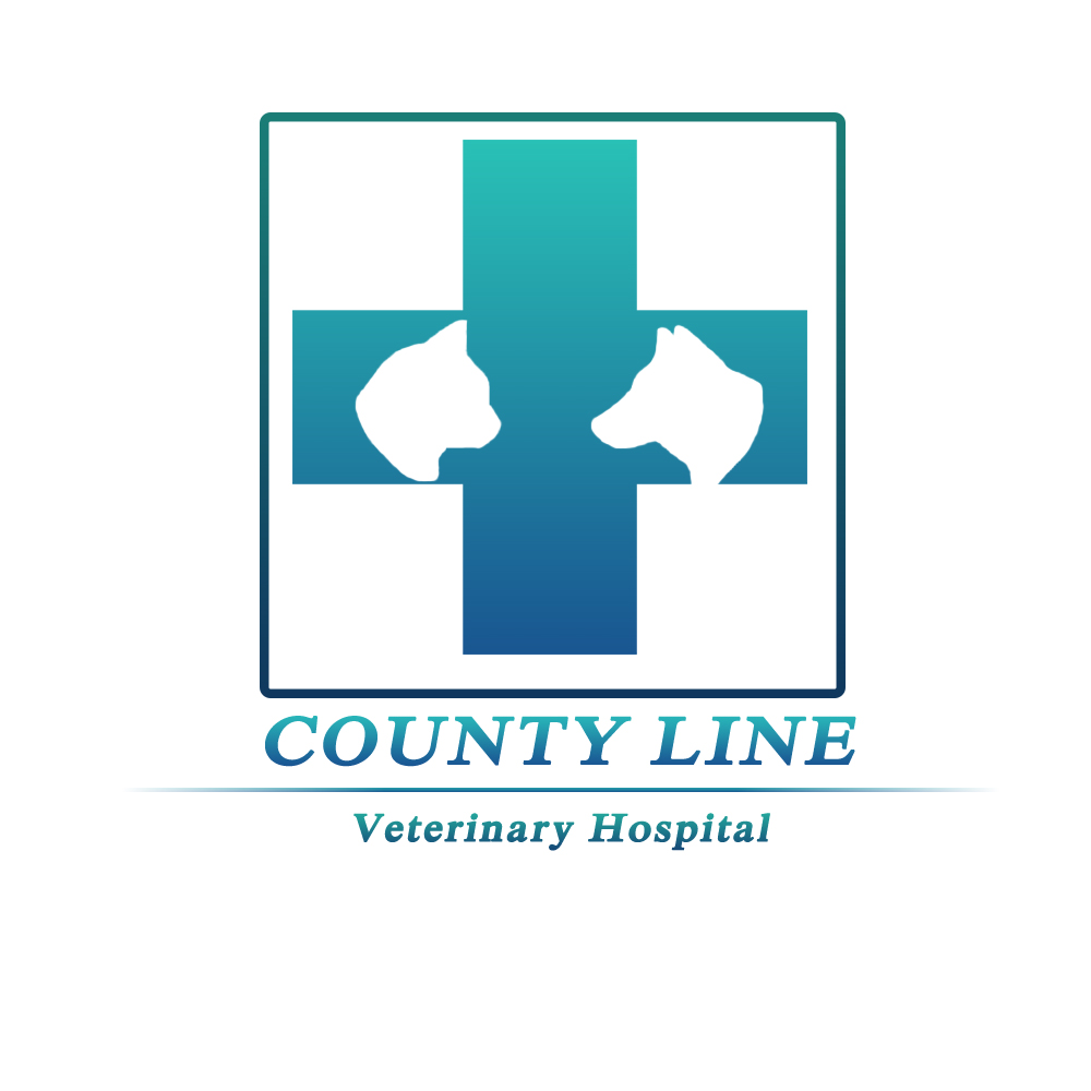 Veterinary Hospital Logo V3