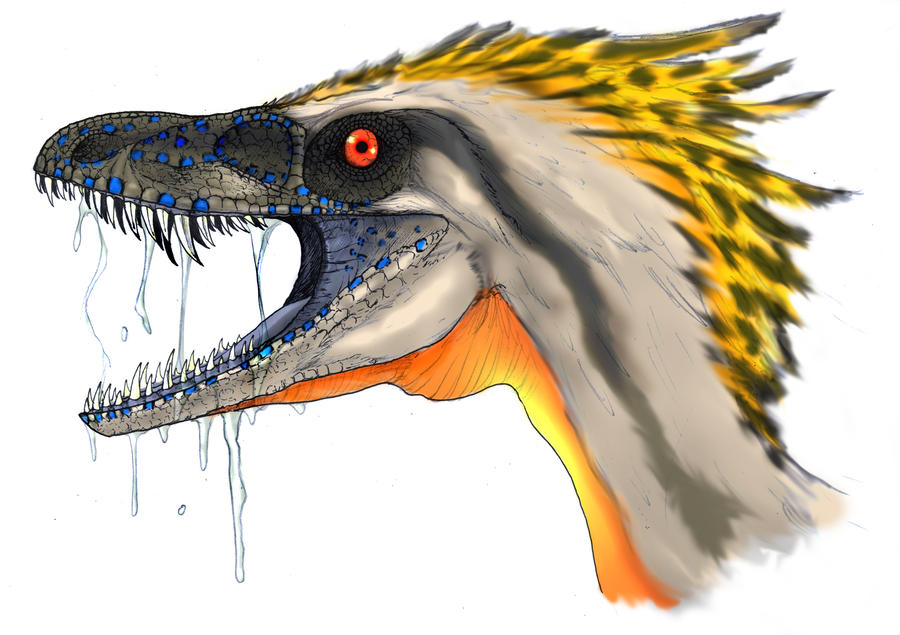 Sinornithosaurus Sinornithosaurus by Fafnirx on DeviantArt
