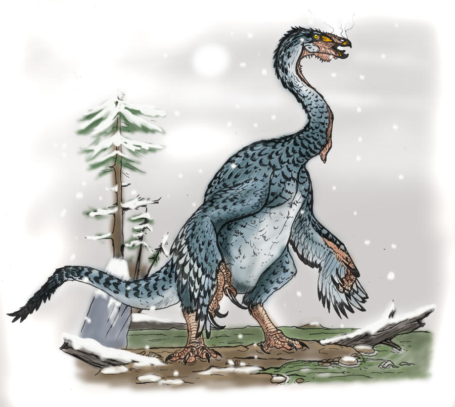 Nothronychus in winter