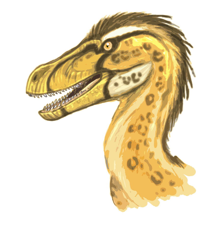 Authentic Raptor Face Raptor face by Fafnirx on DeviantArt