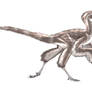 Eosinopteryx