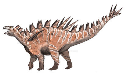 Huayangosaurus