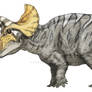 Triceratops