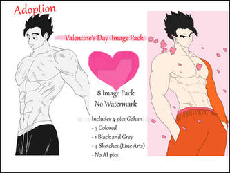 Valentine's Day Image Pack 2024