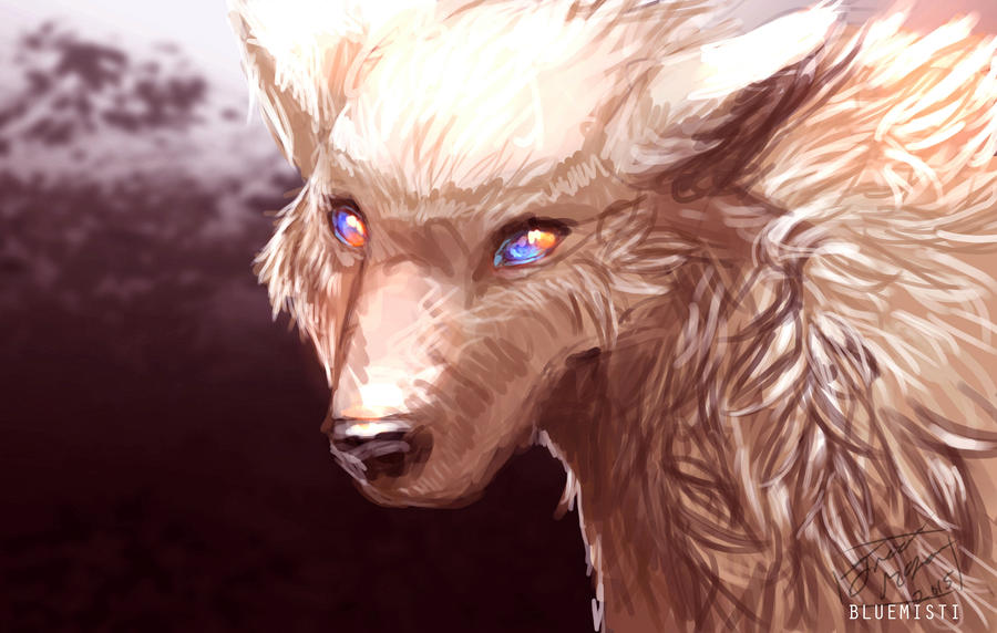 White Wolf by Kureenbean on DeviantArt