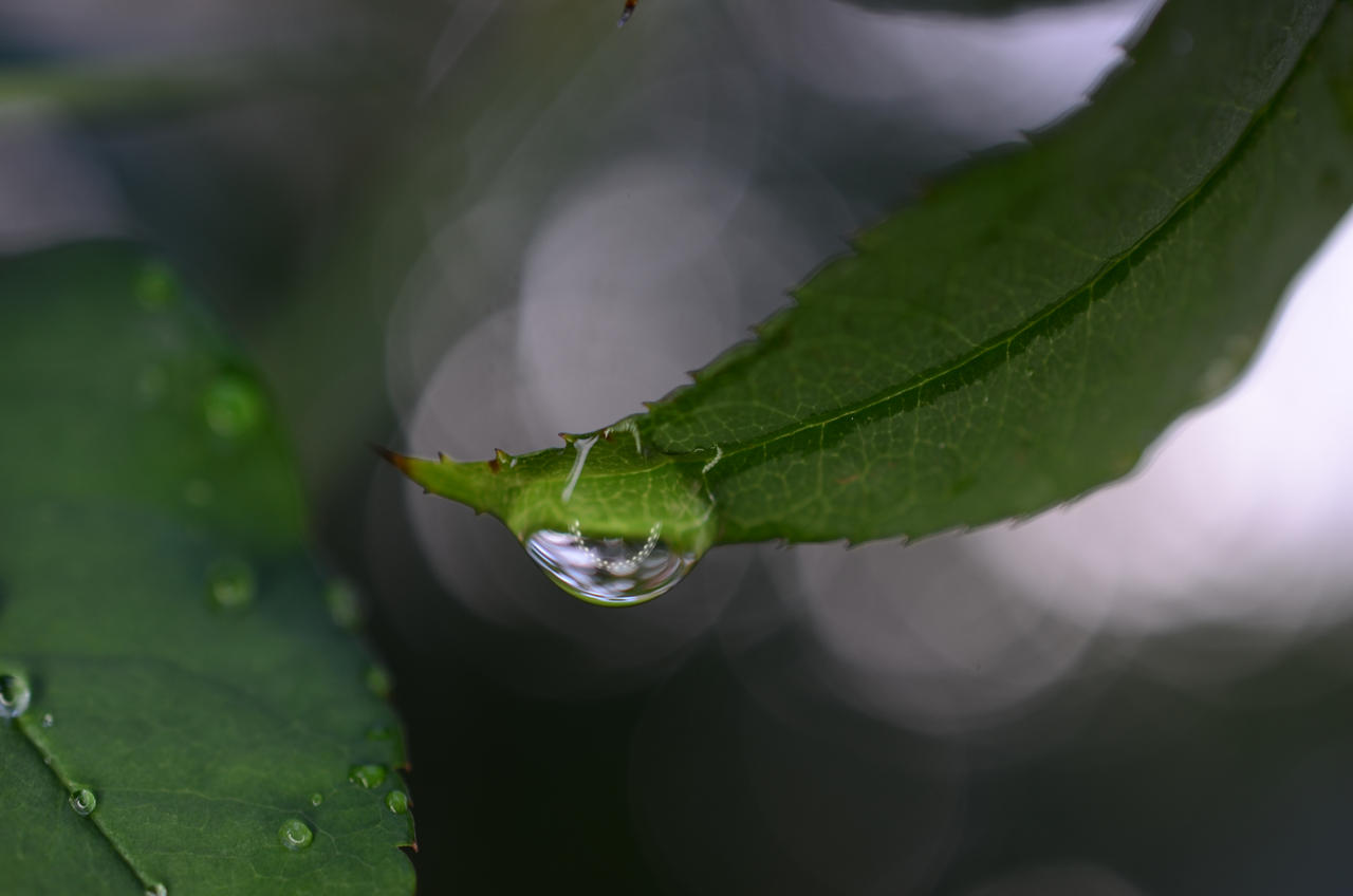 Hanging On