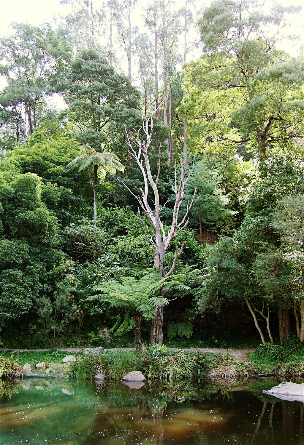 Upper Yarra River, Warburton