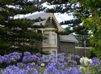 Talara through the Agapanthus by kayandjay100