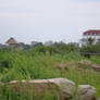 Atop A Block Island Hill V