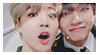 vmin stamp