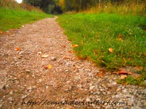 paths were made for walking ..