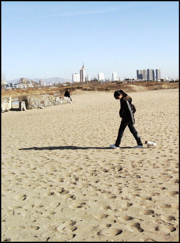 persistent follower by zhaoyihua on DeviantArt