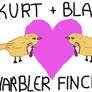 warbler finches kurt + blaine