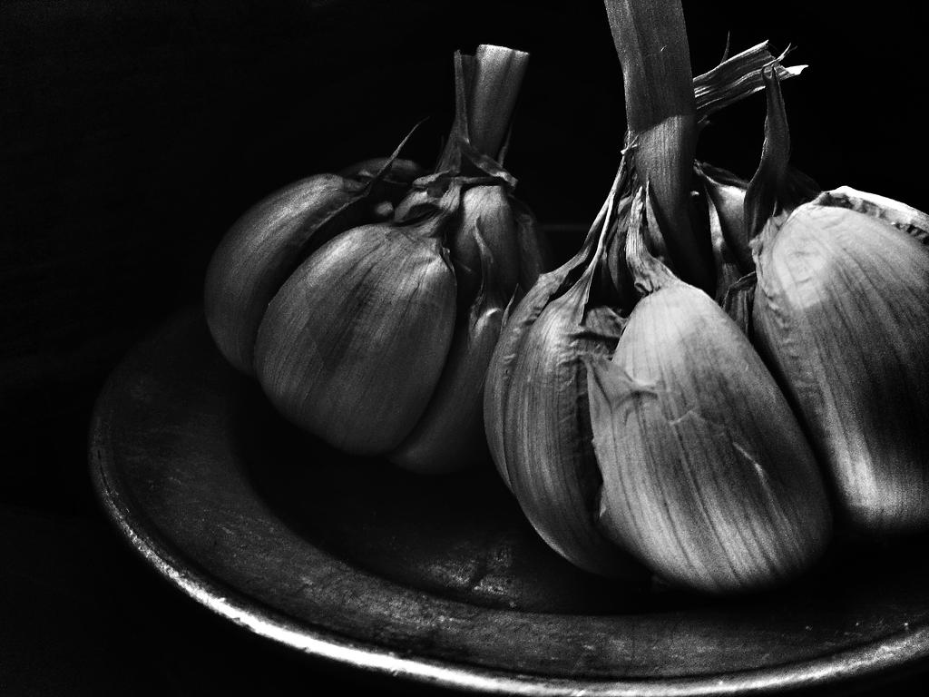 Garlic BW