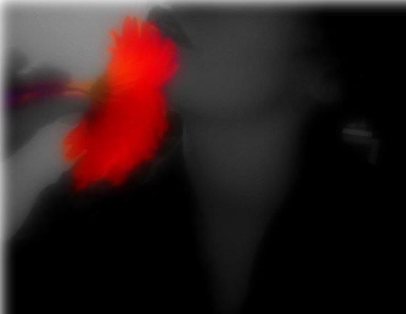 the color of a colorless life? by PixieBat777 on DeviantArt