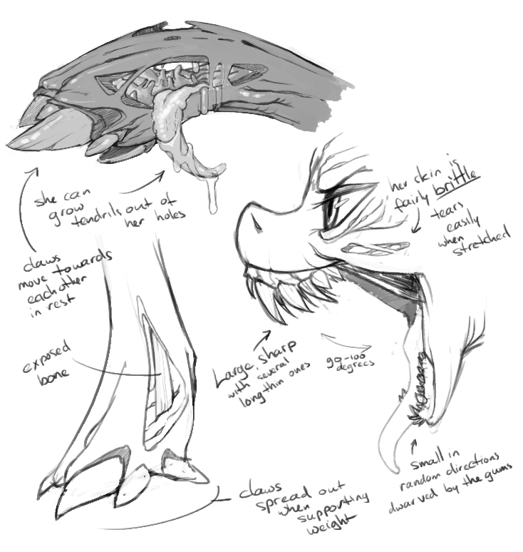 Chrysalis Concepts