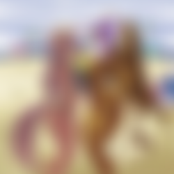 Beach Feud
