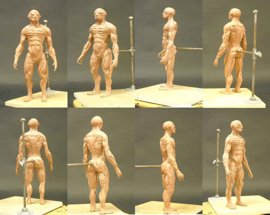 Muscle Study Male Male Muscle Study by Jacobtm92 on DeviantArt
