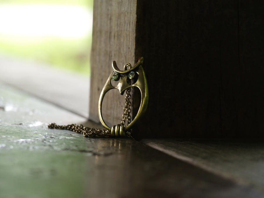 : Bridge Owl :