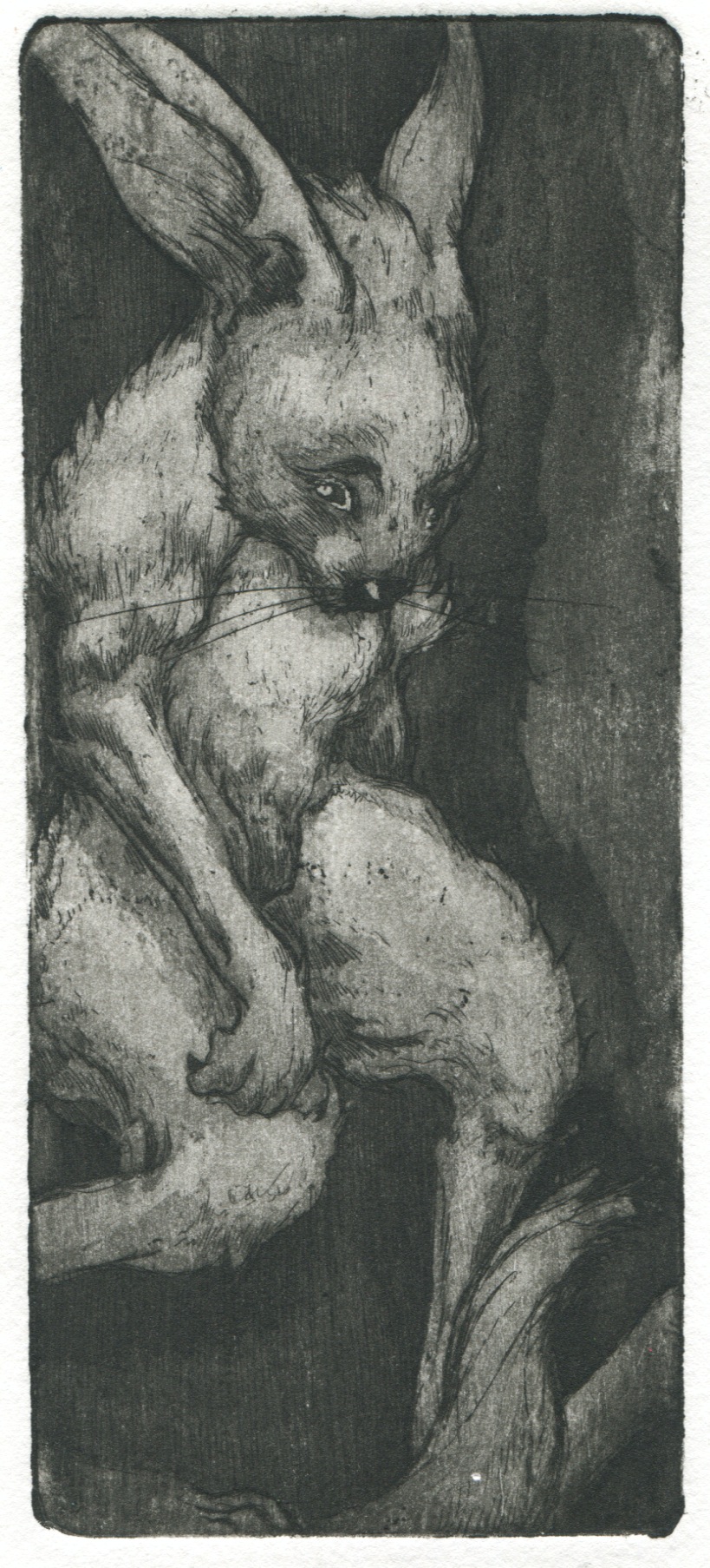 Fable of the Hare