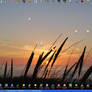 March desktop screenshot