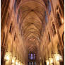 Notre Dame from the inside