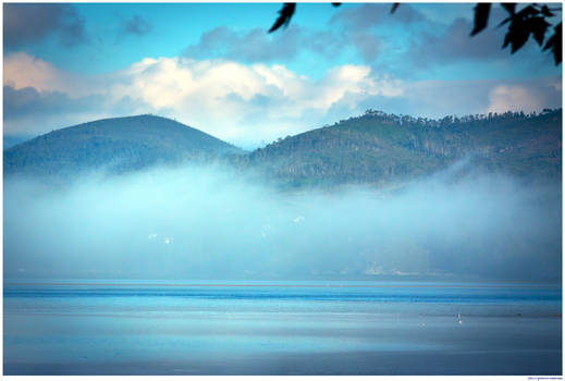 Fog at Rio Ulla