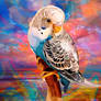 Parakeet in colorful sunset