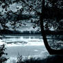 'Moonlit' pond