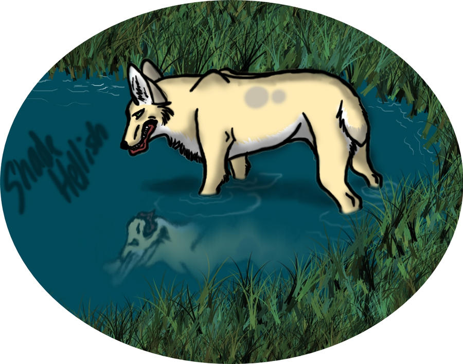 Canis per fluvium carnem ferens by Aoiro-Shakou on DeviantArt