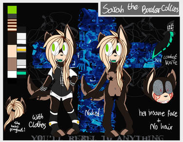 :Ref: Sarah The BorderCollie