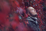 Red ivy by Estelle-Photographie